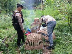Arena Judi Sabung Ayam di Jatilengger Dibongkar Polisi, Warga Apresiasi Tindakan Tegas