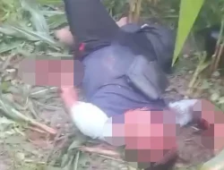 Geger Penemuan Pria Bersimbah Darah di Kebun Jagung Lamongan, Polisi Telusuri Penyebab Kejadian