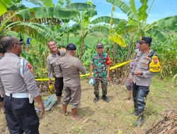 Warga Ngimbang Lamongan Dikejutkan Penemuan Pria Tak Berbusana Meninggal di Parit Hutan