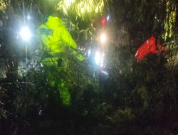 Hujan Lebat Picu Pohon Tumbang di Babat, Polsek Babat Sigap Lakukan Evakuasi di Tiga Titik