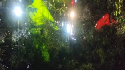 Hujan Lebat Picu Pohon Tumbang di Babat, Polsek Babat Sigap Lakukan Evakuasi di Tiga Titik