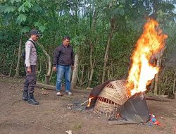 Polisi Bongkar dan Musnahkan Arena Judi Sabung Ayam di Kalipare