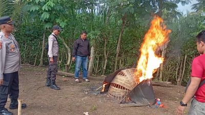 Polisi Bongkar dan Musnahkan Arena Judi Sabung Ayam di Kalipare