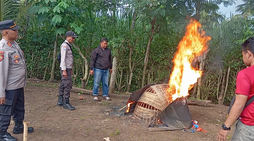 Polisi Bongkar dan Musnahkan Arena Judi Sabung Ayam di Kalipare