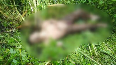 Jenazah Pria Misterius Ditemukan di Alas Coban Manan, Pujon Kidul
