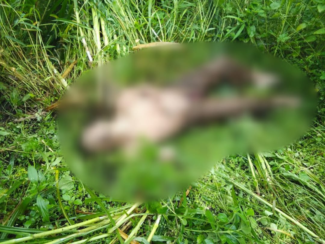 Jenazah Pria Misterius Ditemukan di Alas Coban Manan, Pujon Kidul