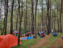 Taman Pinus Campervan Park, Pilihan Camping Favorit Berfasilitas Lengkap di Kota Batu