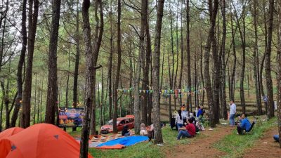 Taman Pinus Campervan Park, Pilihan Camping Favorit Berfasilitas Lengkap di Kota Batu