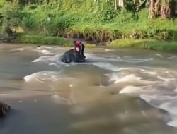 Pemuda Kasembon Ditemukan Tewas di Sungai Setelah Hilang Saat Mencari Biawak