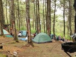 Awal 2026, Sejumlah Destinasi Wisata Kediri Dipadati Pengunjung, Hutan Pinus Semen Jadi Favorit