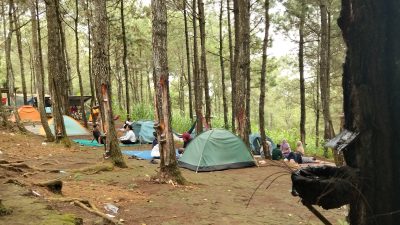 Awal 2026, Sejumlah Destinasi Wisata Kediri Dipadati Pengunjung, Hutan Pinus Semen Jadi Favorit