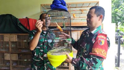 Tekuni Sejak Hobi, Babinsa Tinalan Kediri Sukses Kembangkan Ternak Kenari Merah