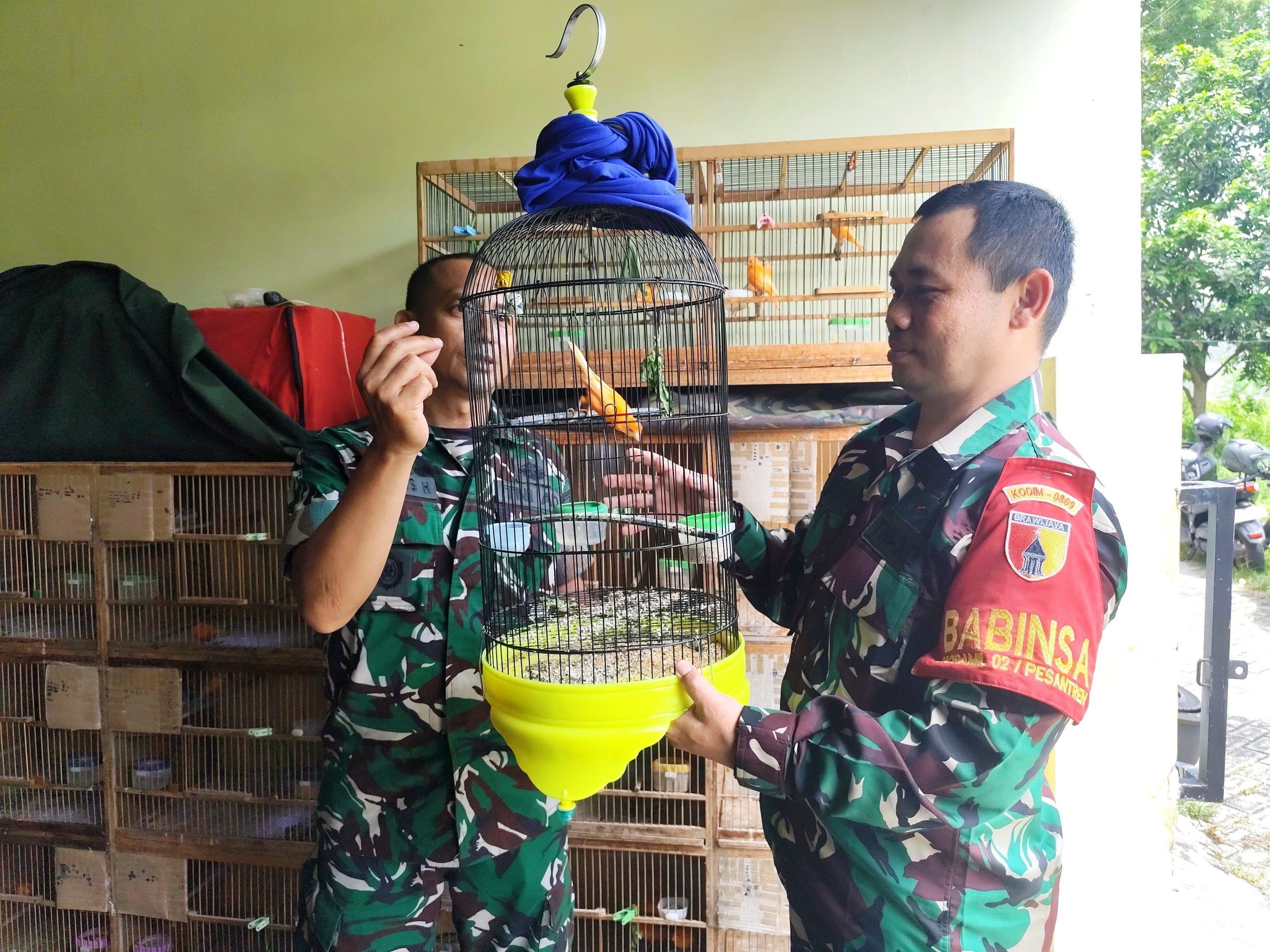 Tekuni Sejak Hobi, Babinsa Tinalan Kediri Sukses Kembangkan Ternak Kenari Merah