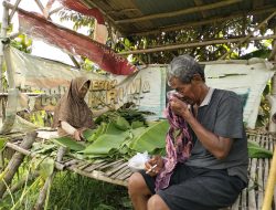 Puluhan Tahun Menggantungkan Hidup di Bantaran Sungai Kedak, Pasangan Lansia Ngampel Bertahan dari Kebun Pisang Kluthuk