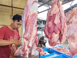 Pedagang Daging Sapi Kediri Keluhkan Omzet Merosot hingga 50 Persen, Salah Satunya Karena Pogram MBG