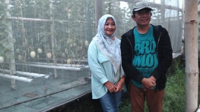 Omah Melon Pule Indah, Bukti Petani Kediri Mampu Hasilkan Melon Premium Berstandar Nasional