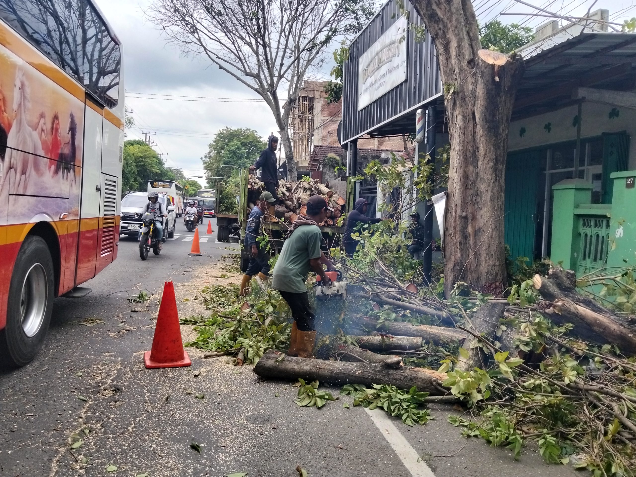 Antisipasi Pohon Tumbang, DLHKP Kota Kediri Lakukan Pemangkasan Pohon Besar di Jalan Sersan Suharmaji