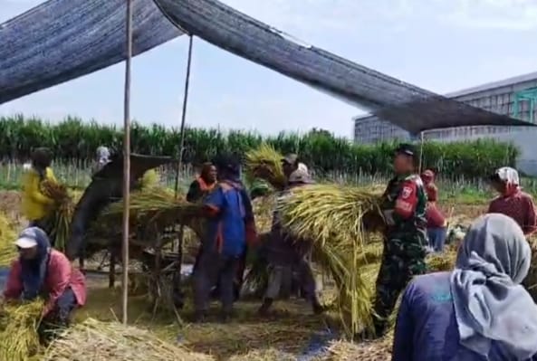 Kelompok Tani Sejahtera di Lingkungan Jegles, Kelurahan Blabak