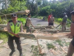 Angin Kencang Landa Tiga Kecamatan di Blitar, Sejumlah Pohon Tumbang