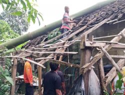 Diterjang Angin Kencang, Pohon Waru Roboh Timpa Rumah Warga di Garum, Seorang Lansia Selamat