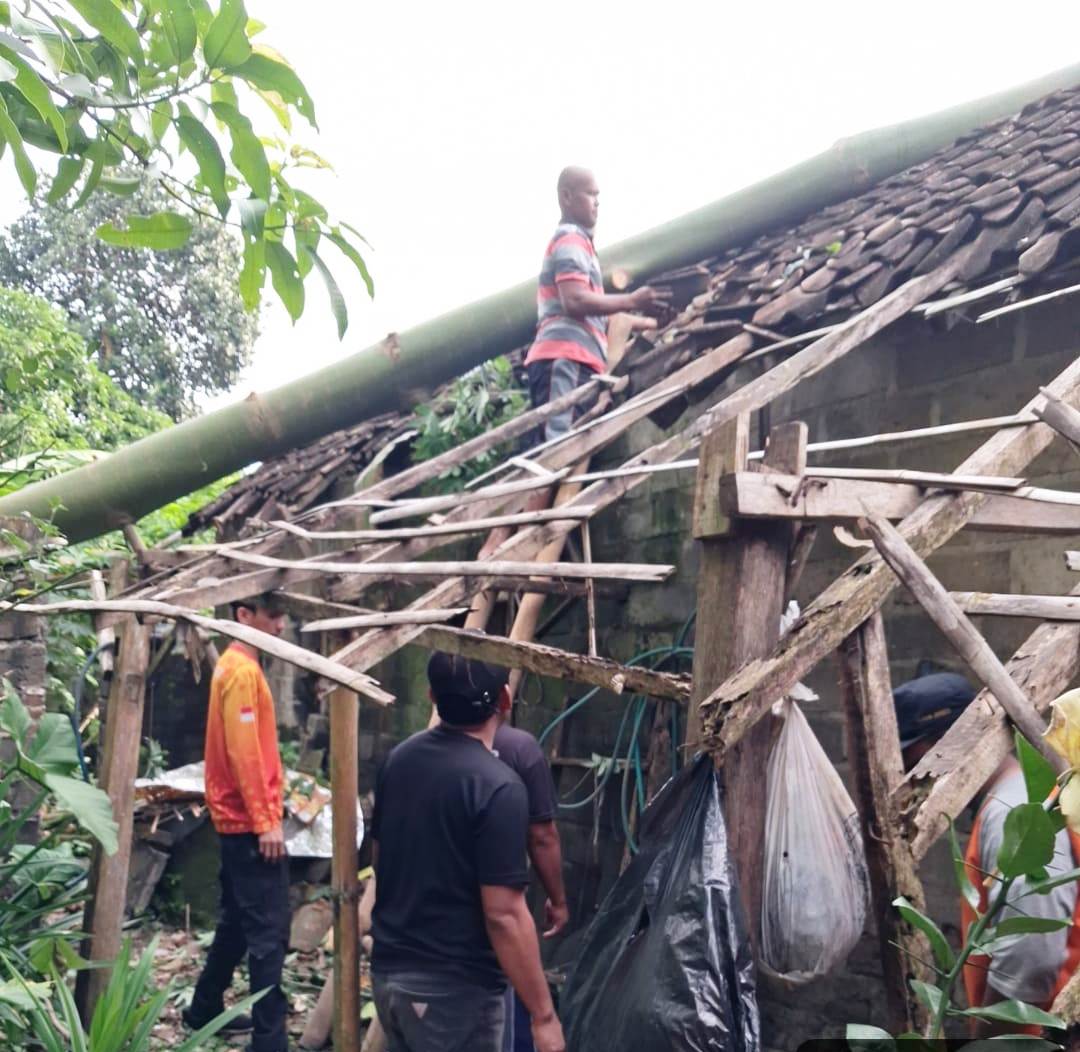 Diterjang Angin Kencang, Pohon Waru Roboh Timpa Rumah Warga di Garum, Seorang Lansia Selamat