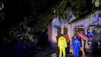 Hujan Angin Terjang Ponggok, Rumah Warga di Dua Desa Blitar Rusak Tertimpa Pohon