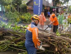 Angin Kencang Landa Tulungagung, 34 Rumah Warga dan Satu Bangunan BUMDes Mengalami Kerusakan