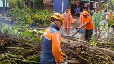 Angin Kencang Landa Tulungagung, 34 Rumah Warga dan Satu Bangunan BUMDes Mengalami Kerusakan