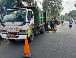 Antisipasi Pohon Tumbang, DLHKP Kota Kediri Lakukan Pemangkasan di Jalan Brigjend Katamso