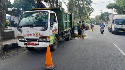 Antisipasi Pohon Tumbang, DLHKP Kota Kediri Lakukan Pemangkasan di Jalan Brigjend Katamso