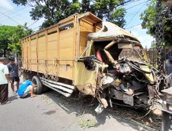 Diduga Mengantuk, Truk Bermuatan Benih Tebu di Kediri Hantam Pohon hingga Ringsek