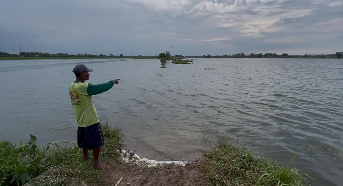Banjir Genangi 17 Hektare Sawah di Ngusikan, Petani Hadapi Ancaman Puso