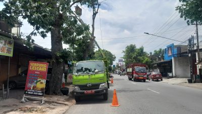 DLHKP Kota Kediri Lakukan Pemangkasan Pohon Besar di Jalan Mauni demi Keselamatan Warga