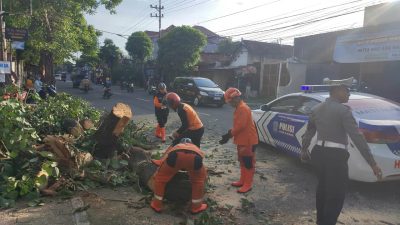 Angin Kencang Patahkan Dahan Pohon di Jalan Urip Sumoharjo, BPBD Kediri Lakukan Penanganan Cepat