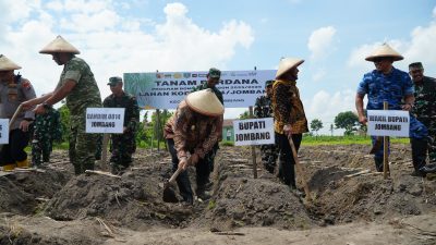 Pemkab Jombang Bersama Kodim 0814 Laksanakan Tanam Tebu Perdana, Perkuat Target Swasembada Gula 2028