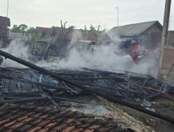 Rumah Tak Berpenghuni di Bandar Kedungmulyo Terbakar, Kendaraan dan Mesin Panen Ikut Hangus