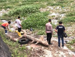 Sempat Dilaporkan Hilang, Lansia Asal Campurdarat Ditemukan Tewas Mengapung di Sungai Niyama