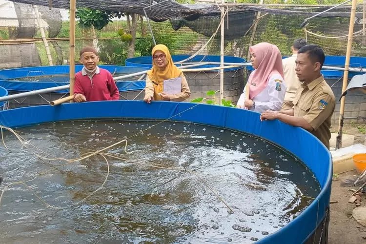 Transaksi Produksi Ikan Air Tawar Kabupaten Kediri 2025 Tembus Rp 482,6 Miliar