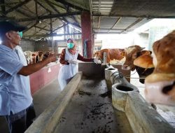 Musim Penghujan, DKPP Kabupaten Kediri Imbau Peternak Perketat Kebersihan Kandang