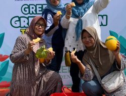 Dukung Ketahanan Pangan, BUMDes Bina Mandiri Susuhbango Kembangkan Wisata Petik Melon