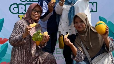 Dukung Ketahanan Pangan, BUMDes Bina Mandiri Susuhbango Kembangkan Wisata Petik Melon