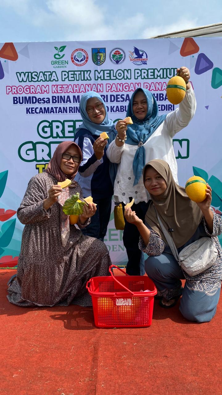 Dukung Ketahanan Pangan, BUMDes Bina Mandiri Susuhbango Kembangkan Wisata Petik Melon
