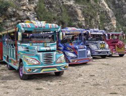 Kereta Kelinci Resmi Dilarang di Ponorogo, FLLAJ Tempuh Tahapan Sosialisasi hingga Penegakan Hukum