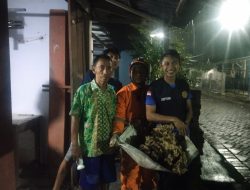 Teror Tawon Vespa Meresahkan Warga Nganjuk, Damkarmat Tangani Dua Sarang dalam Satu Malam