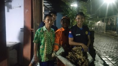 Teror Tawon Vespa Meresahkan Warga Nganjuk, Damkarmat Tangani Dua Sarang dalam Satu Malam