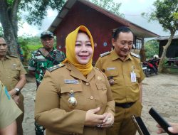 Produksi Padi Ponorogo Tembus 546 Ribu Ton per Tahun, Masuk 10 Besar Sentra Padi Jatim