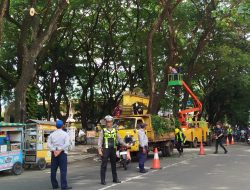 Antisipasi Pohon Tumbang, DLH Ponorogo Lakukan Pemangkasan di Sejumlah Ruas Jalan