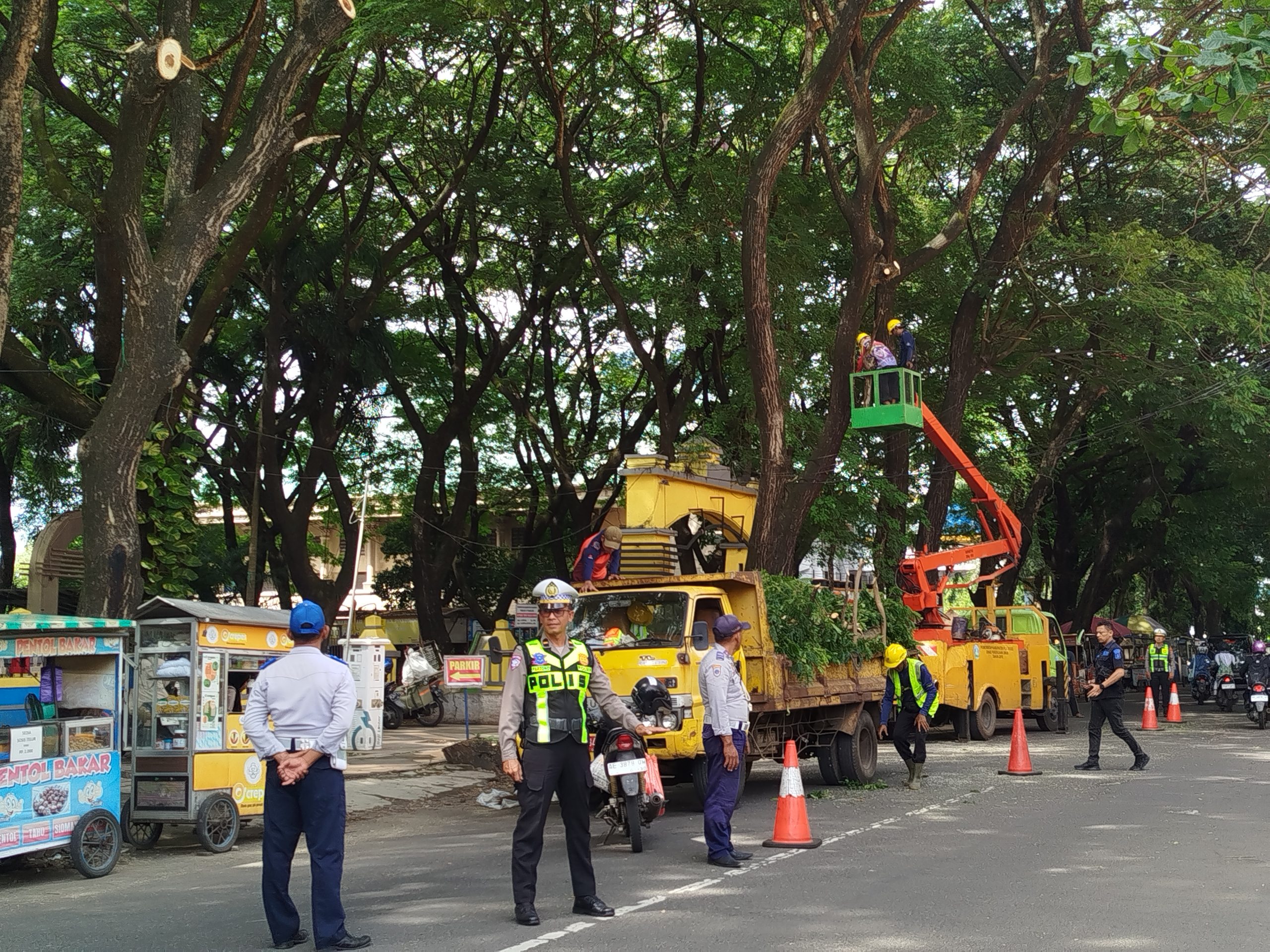 Antisipasi Pohon Tumbang, DLH Ponorogo Lakukan Pemangkasan di Sejumlah Ruas Jalan