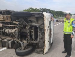 Ban Pecah, Pikap Angkut Anak Ayam Terguling di Tol Nganjuk–Caruban
