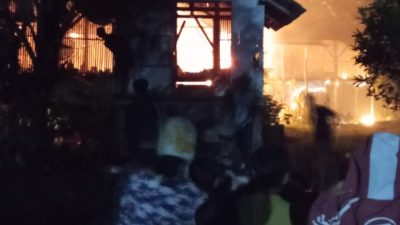 Kandang Ayam di Besuki Tulungagung Terbakar, Ribuan Ayam Siap Panen Mati, Kerugian Ditaksir Rp70 Juta